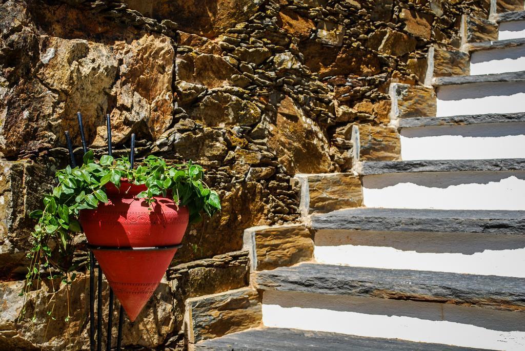 Alojamentos Turisticos Sao Torcato Moradal Turismo Espaco Rural