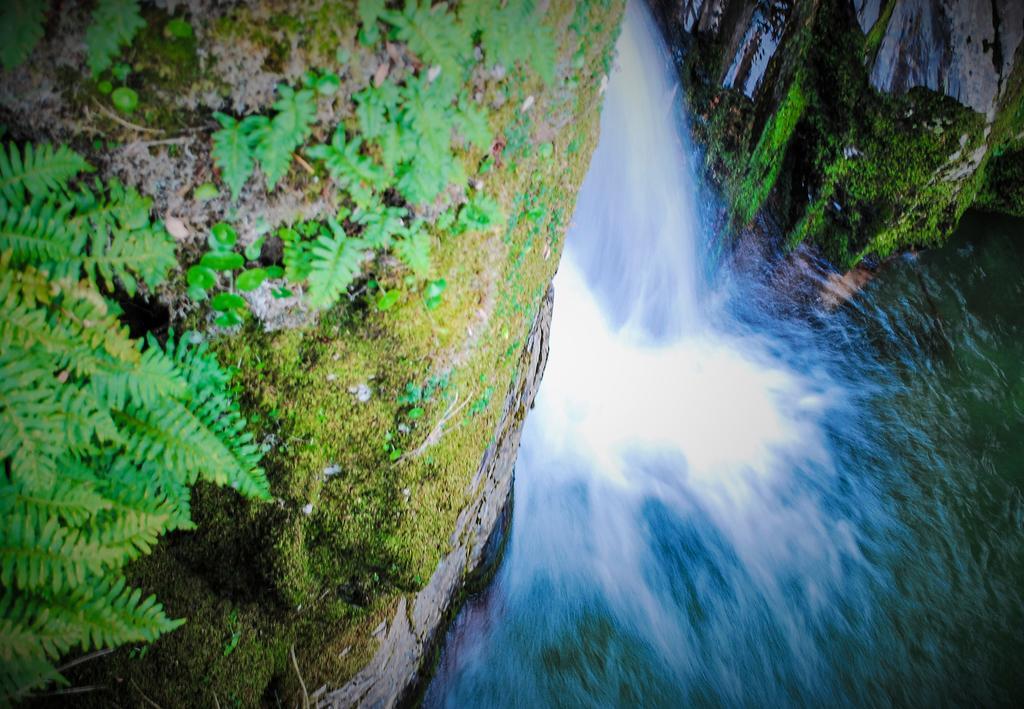 Alojamentos Turisticos Sao Torcato Moradal Turismo Espaco Rural Séjour à la campagne Estreito